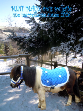 Meilleurs voeux 2026